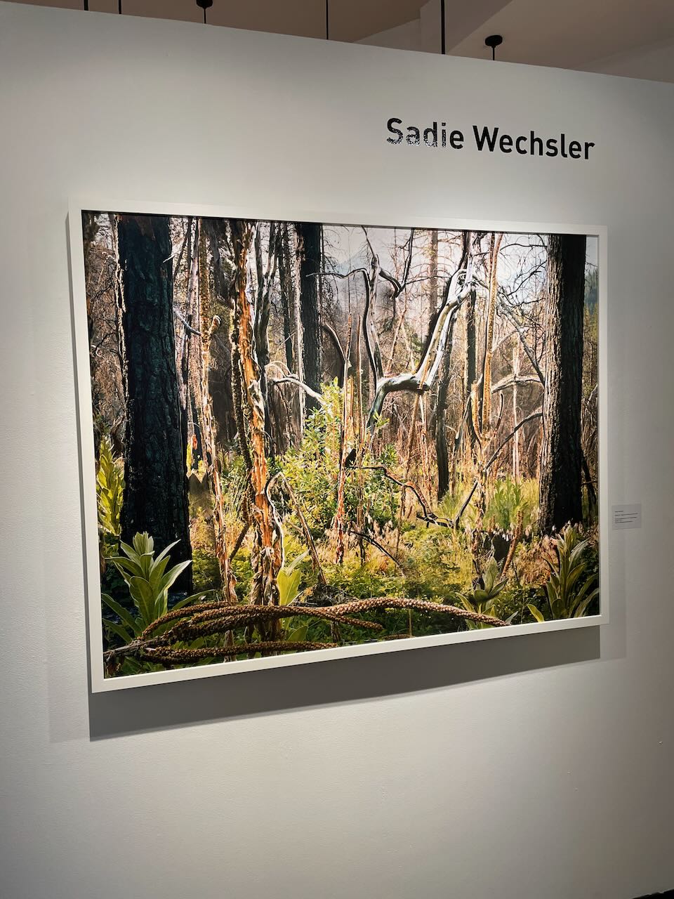 More on collage with the Alterations show